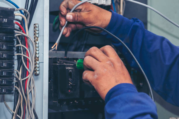 Best Ceiling Fan Installation Electrician  in Buena Vista, GA